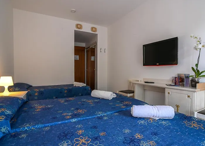 Adriaco グラード